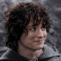 Frodo Baggins (LOTR)