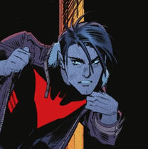 Terry Mcginnis (DC)